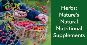 Herbs: Nature's Natural Nutritional Supplements