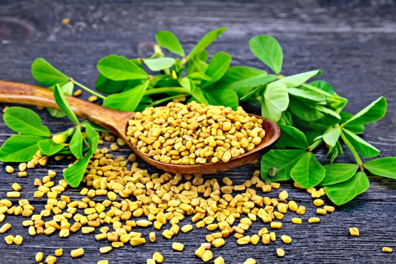The Time-Tested Uses of Fenugreek