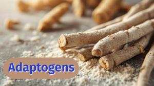 Adaptogens