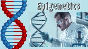 Epigenetics