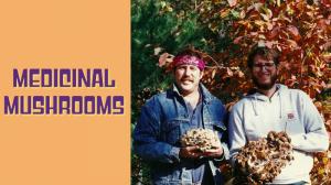 Medicinal Mushrooms