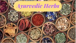Nature's Sunshine's Ayurvedic Herbs