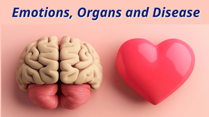 Emotions, Organs and Disease