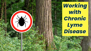 Working with Chronic Lyme Disease