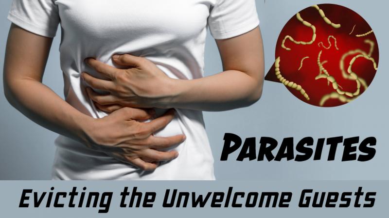 Parasites: Evicting the Unwanted Guests - Event - Stevenhorne.com